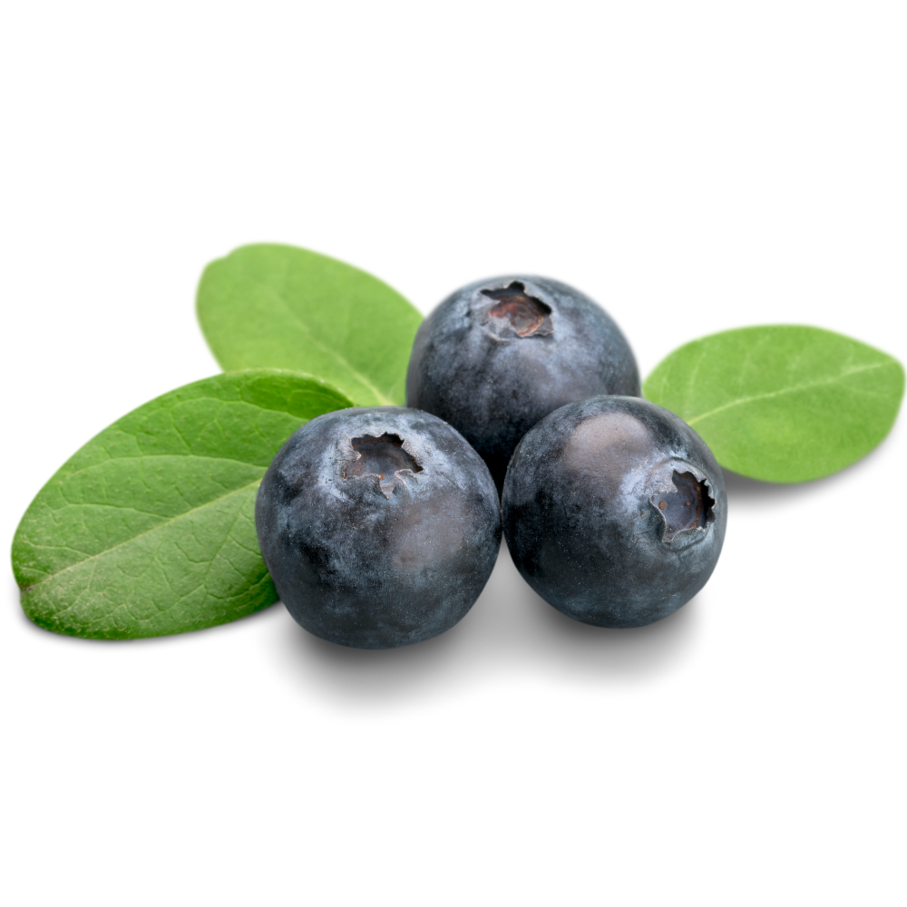 2 kg Arándanos firmes, dulces y seleccionados uno a uno