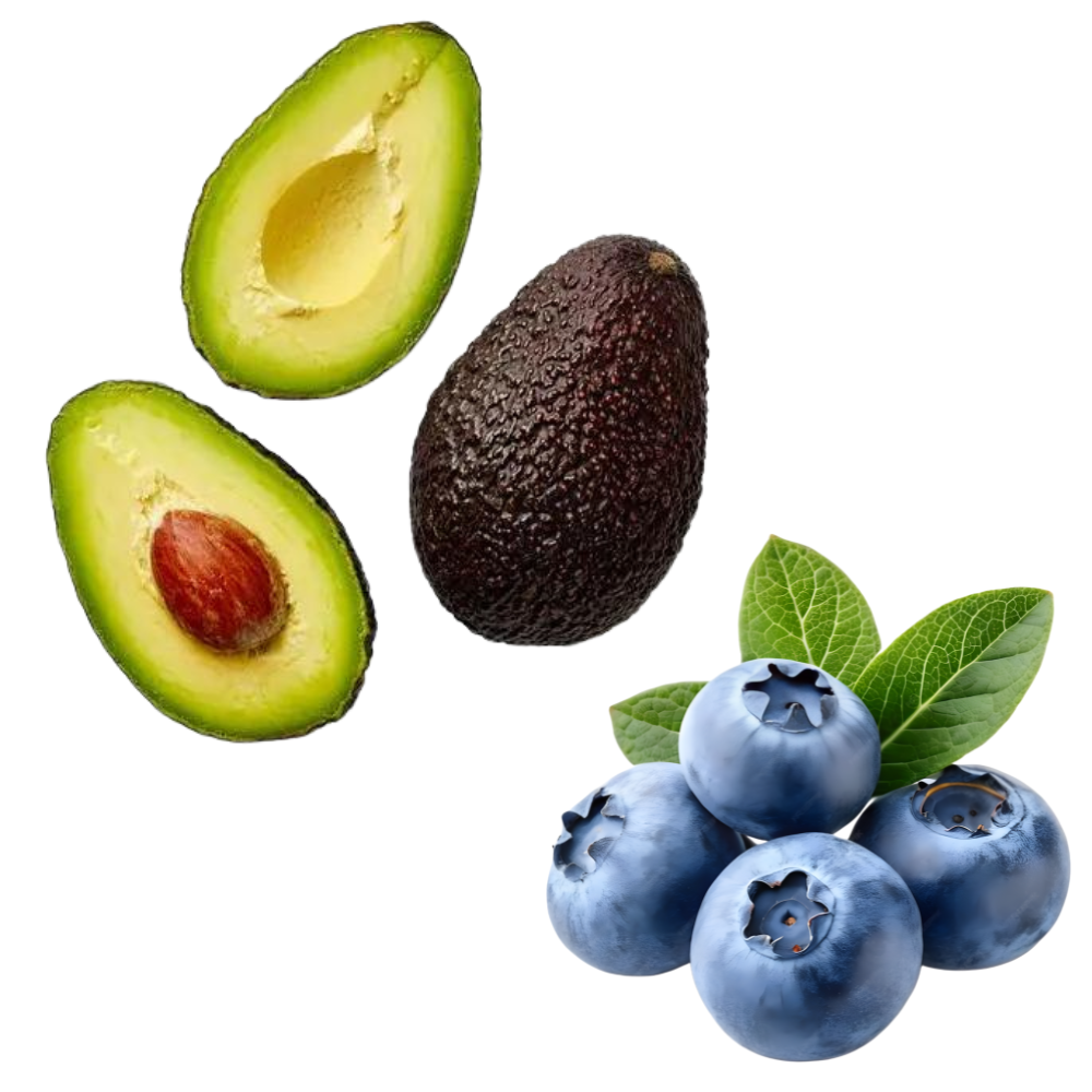 Pack ANTIOXIDANTE CREMOSO: 3 kg Palta hass chilena premium + 1 kg Arándanos grandes