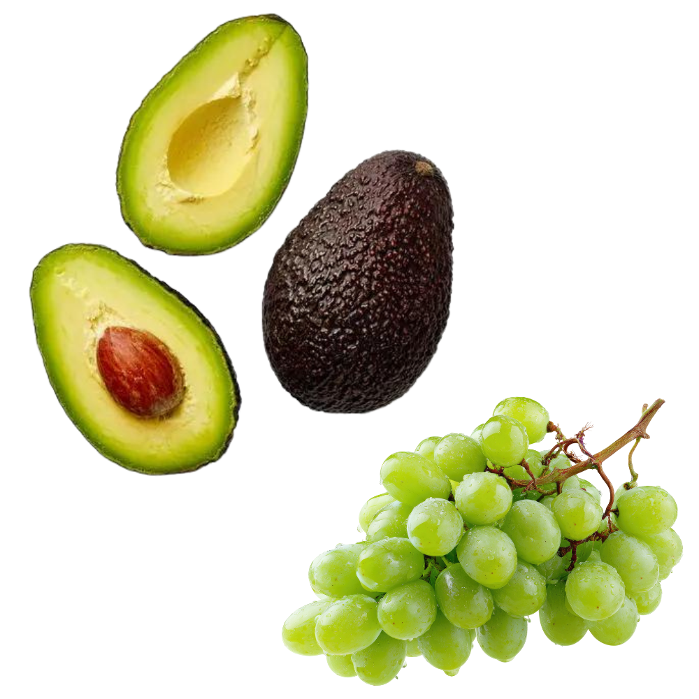 Pack VERANO: 3 kg Palta hass chilena premium + 2 kg uva verde dulce sin pepas